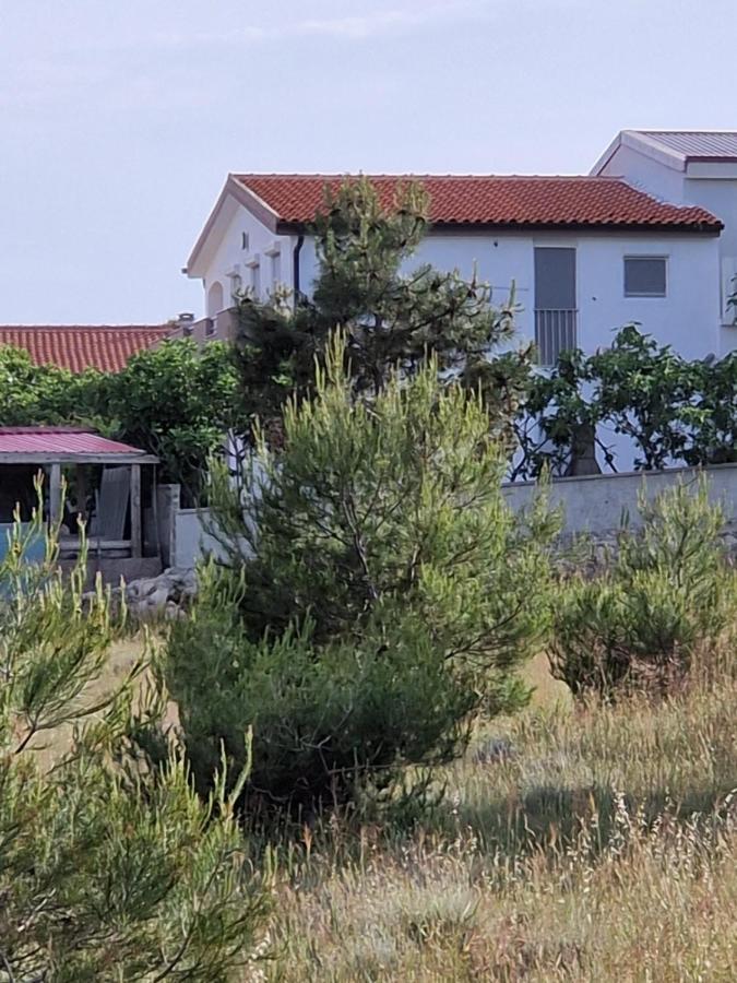 Apartments Ema فير المظهر الخارجي الصورة